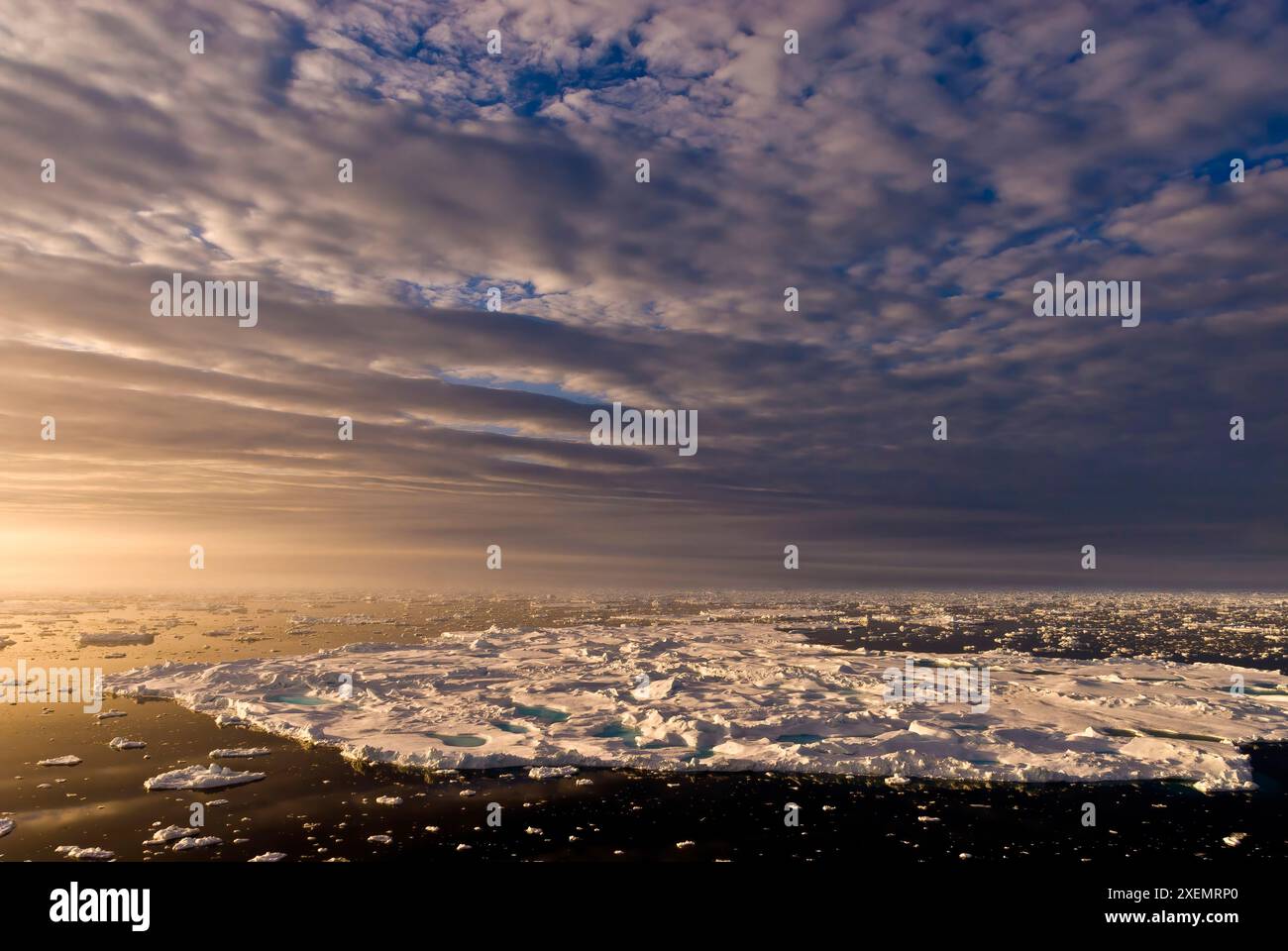 Pack Ice on Baffin Bay in warm light, between Ellesmere Island and Greenland; Greenland Stock Photo