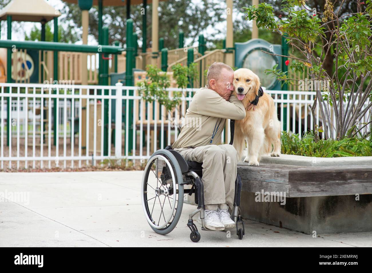 Man in a wheelchair showing deep appreciation for his service dog while spending time together outdoors Stock Photo