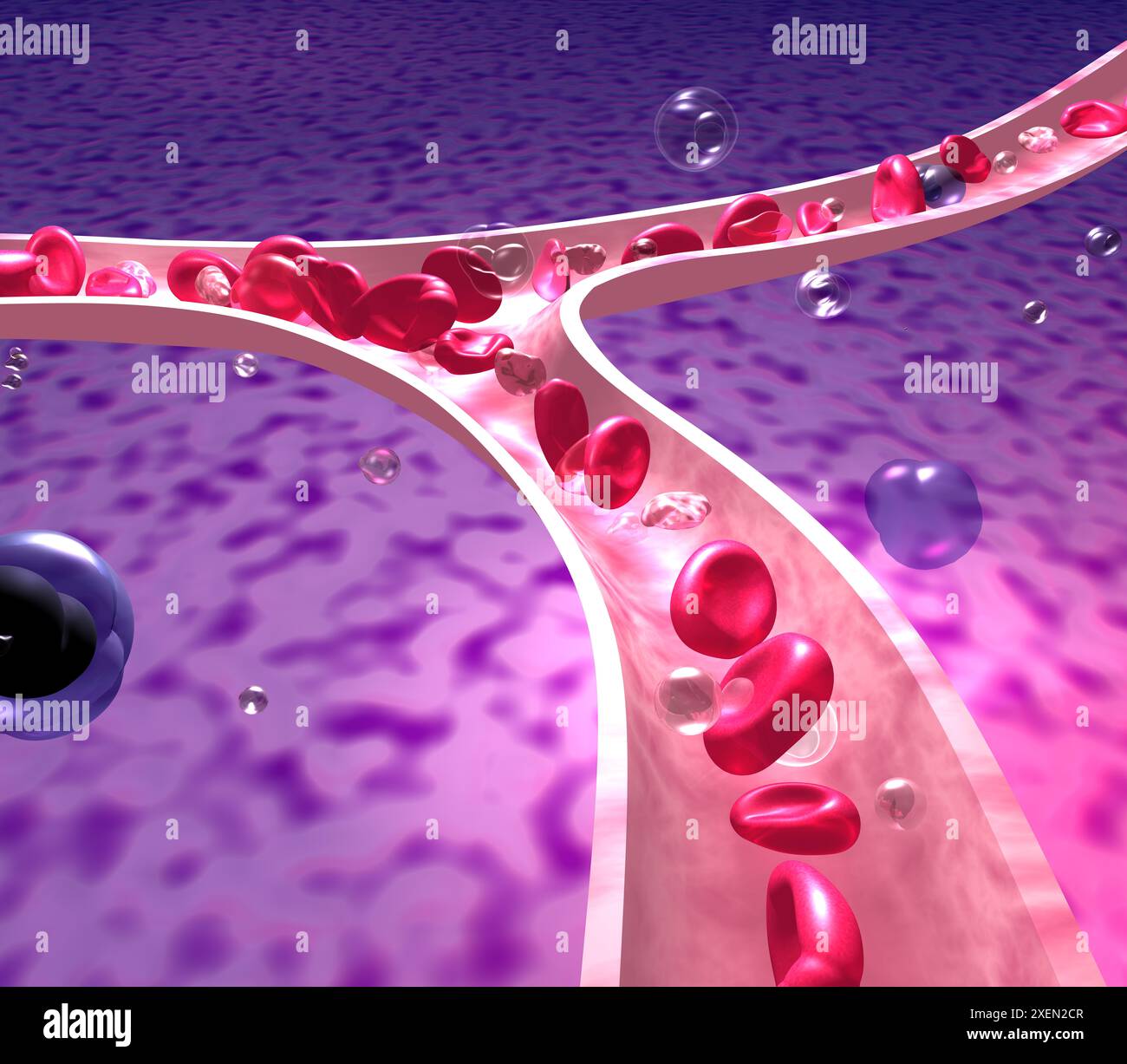 neurontin and thrombocytopenia