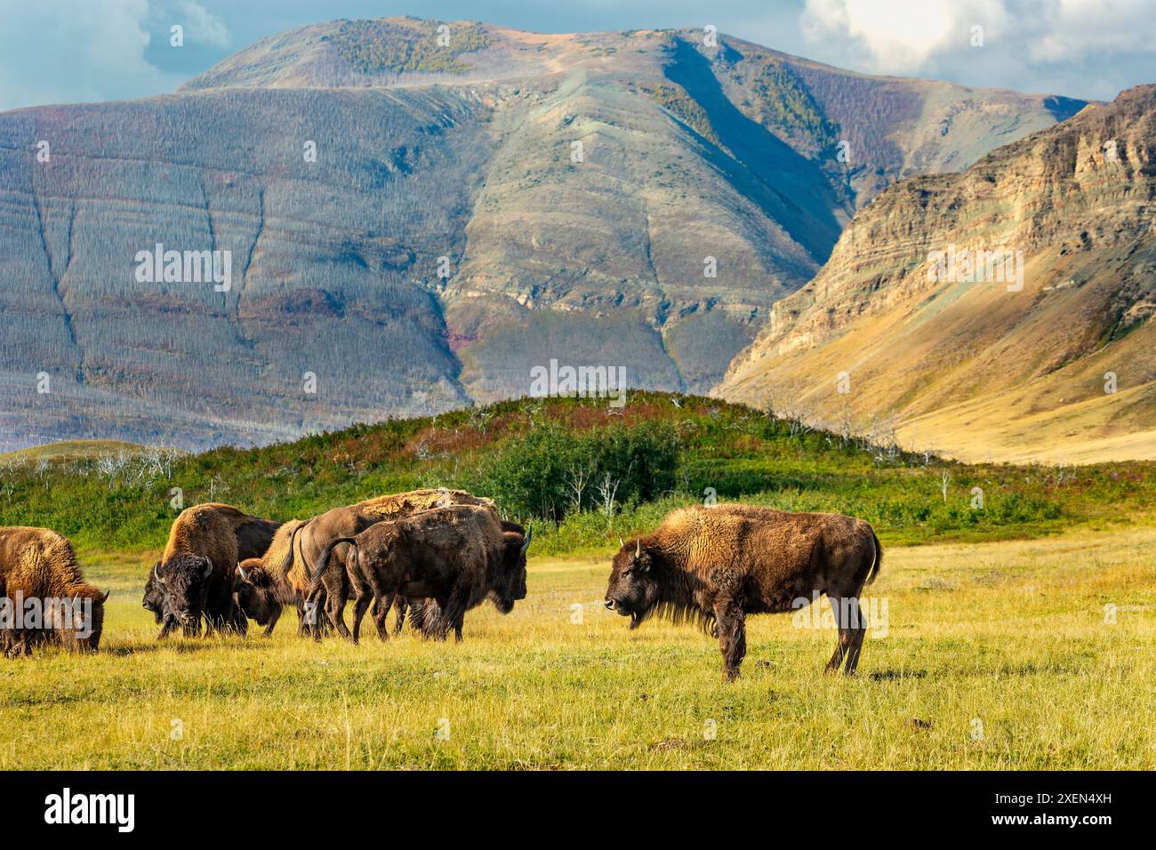Rocky mountain in rolling hills hi-res stock photography and images - Alamy