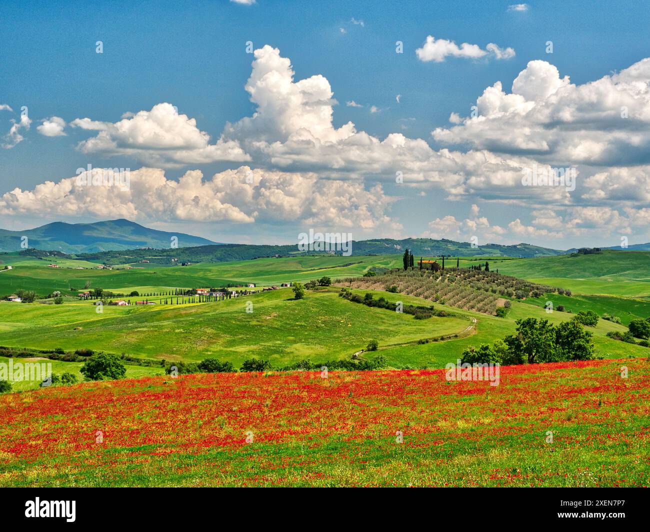 Tuscan valley view hi-res stock photography and images - Alamy