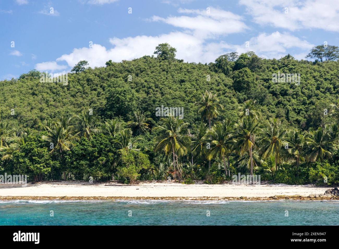 Patokan Beach (Jiko) with a hillside covered in palm trees in North Sulawesi, Indonesia Stock Photo