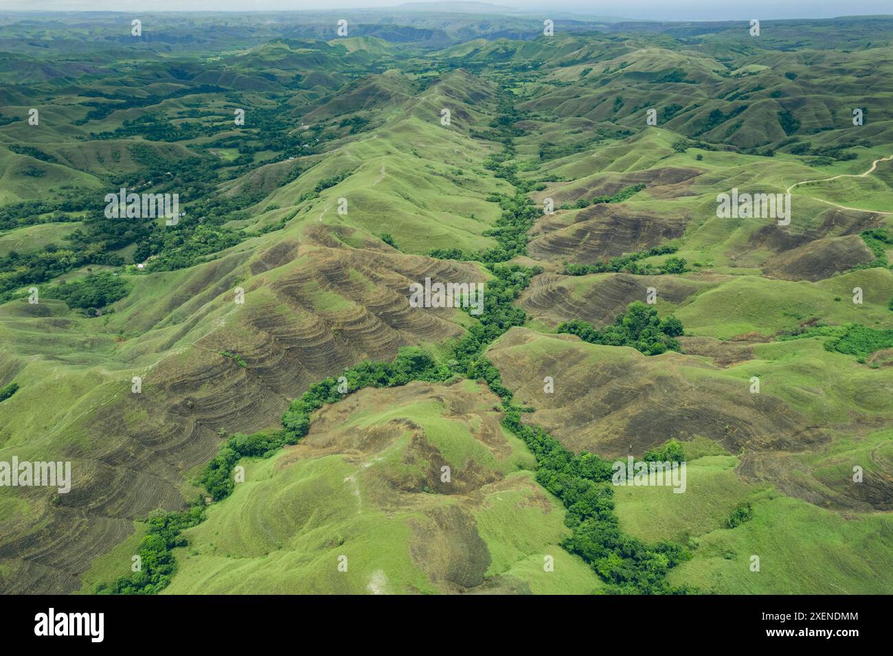 Vast hilly landscape with trees at Bukit Wairinding, East Nusa Tenggara, Indonesia Stock Photo