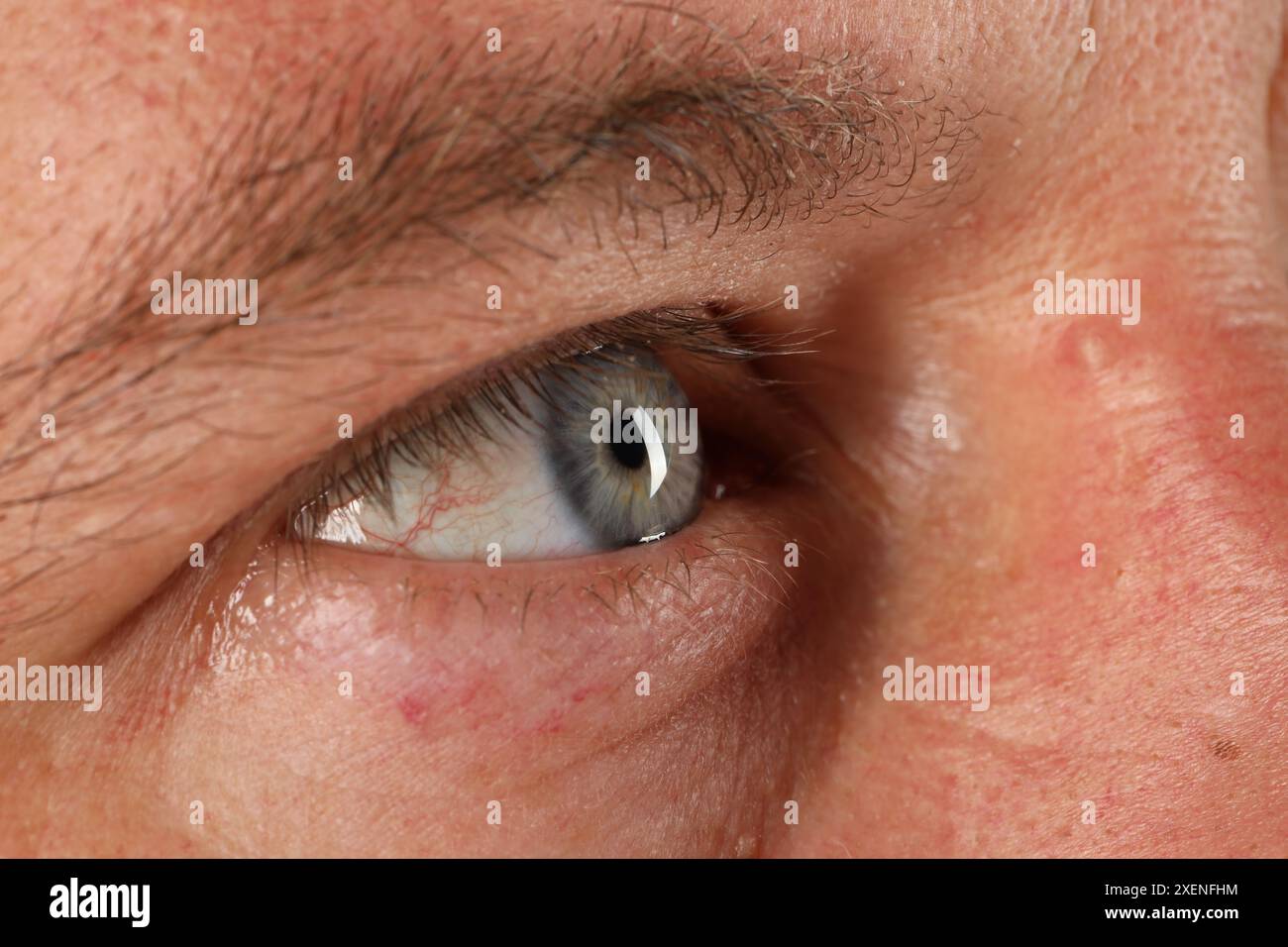 Macro photo of man with beautiful blue eyes Stock Photo - Alamy