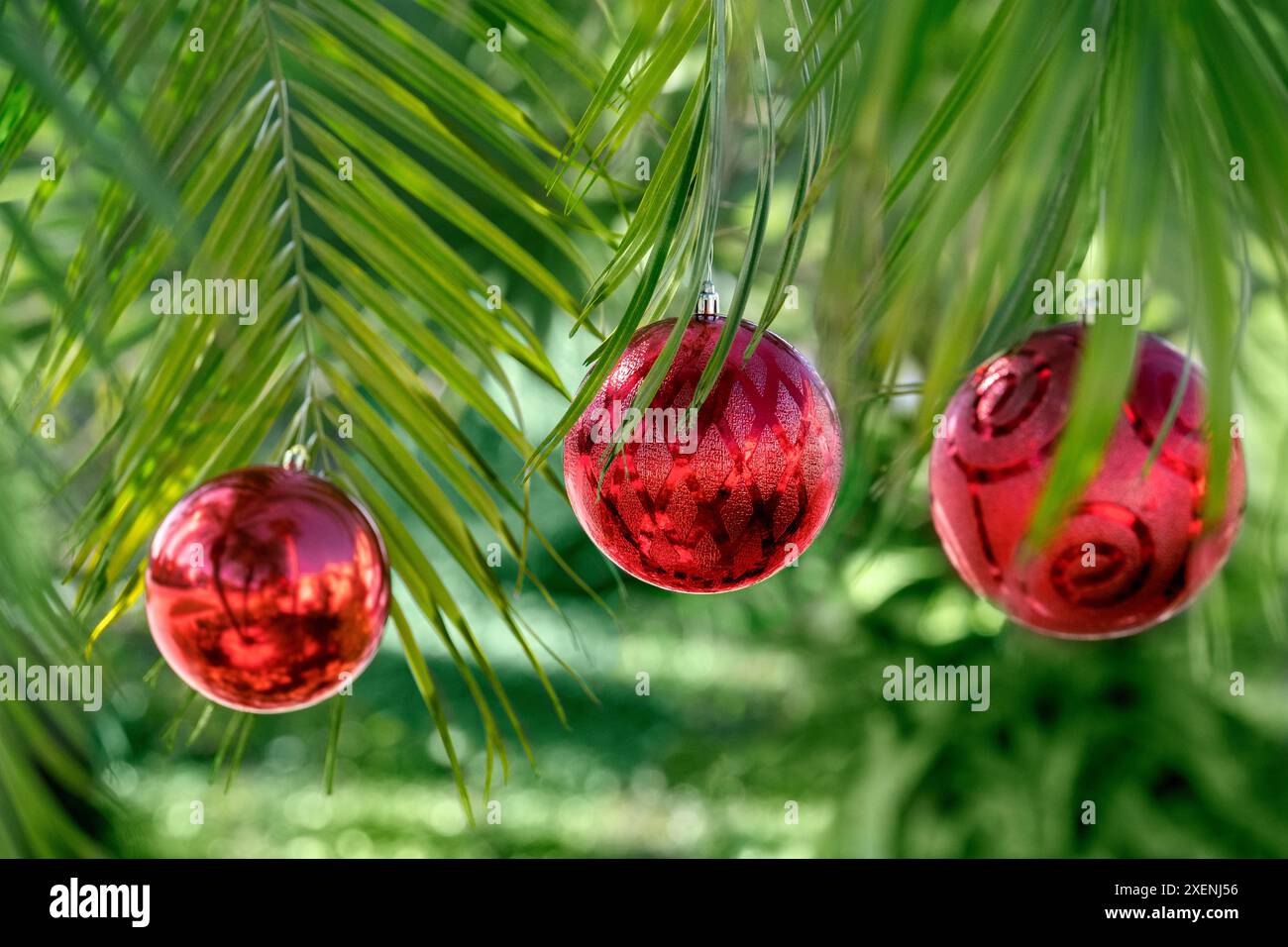 Tropical holiday Stock Photo