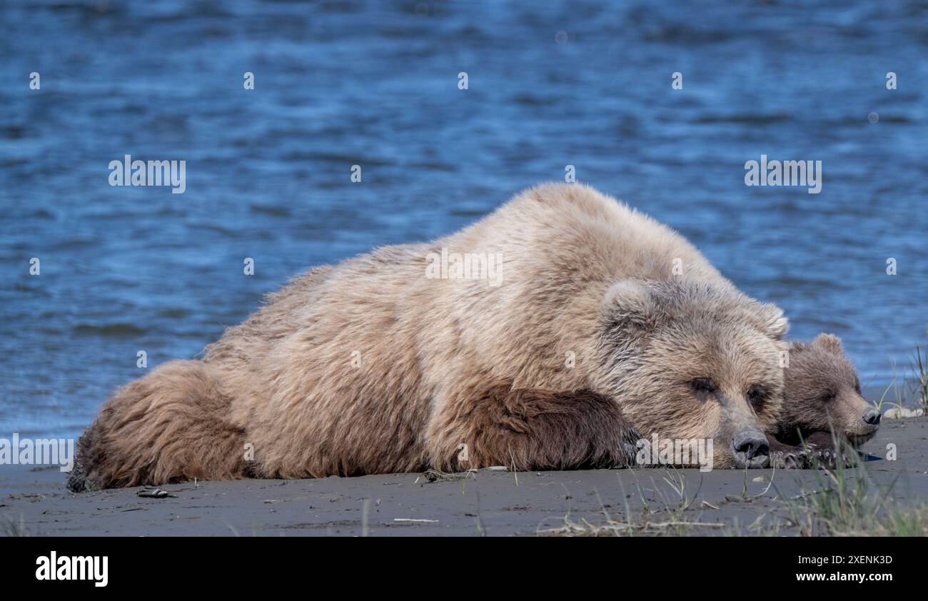 Cook Inlet Hawaii Cook inlet hi-res stock photography and images - Alamy