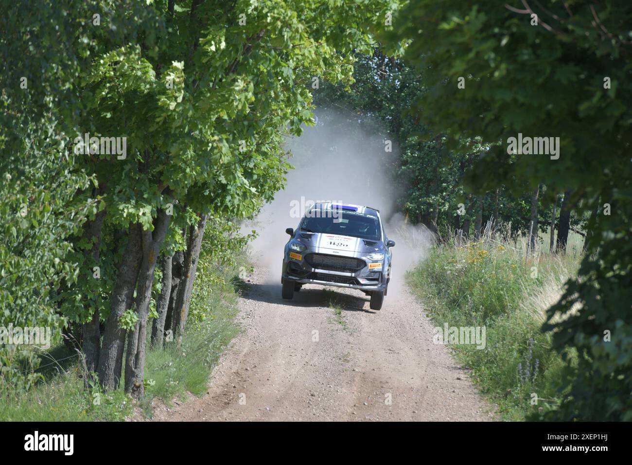 #46 Diego DOMINGUEZ JR, (BOL) / Rogelio PENATE (ESP), FORD Fiesta Rally3, Team: Dominguez (BOL)   Motorsport, FIA WRC, 80. Rally Poland, World Rally Campionship, Polen, SS2, WP2,  Stanczyki1, 28.06.2024  Foto: Eibner-Pressefoto/Juergen Augst Stock Photo