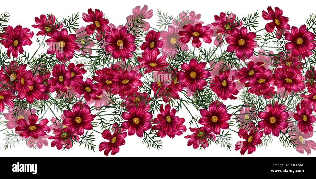 Watercolor seamless border of red and purple cosmos flowers ...