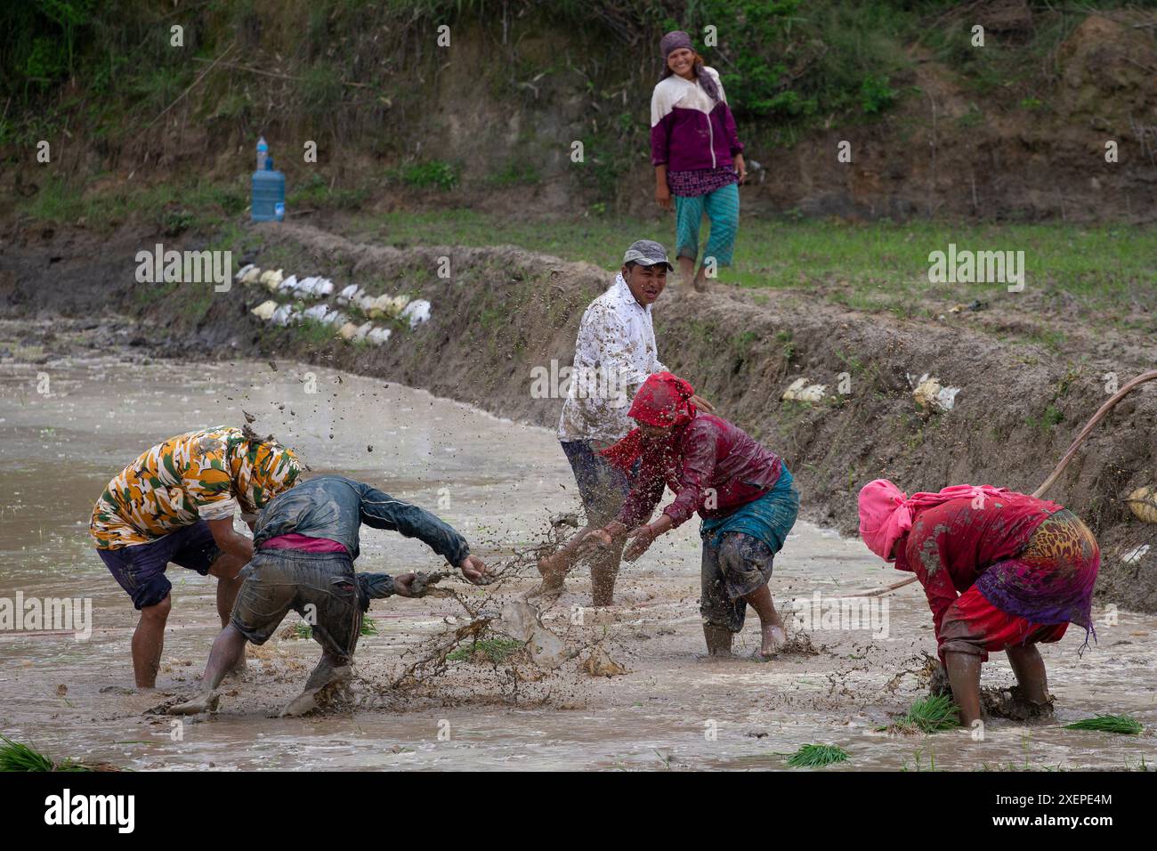 Bhaktapur, Nepal. 29th June, 2024. On June 29, 2024, in Bhaktapur ...