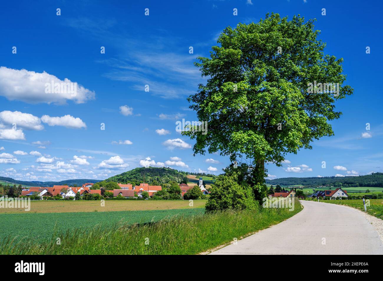 Lonely tree road hi-res stock photography and images - Alamy