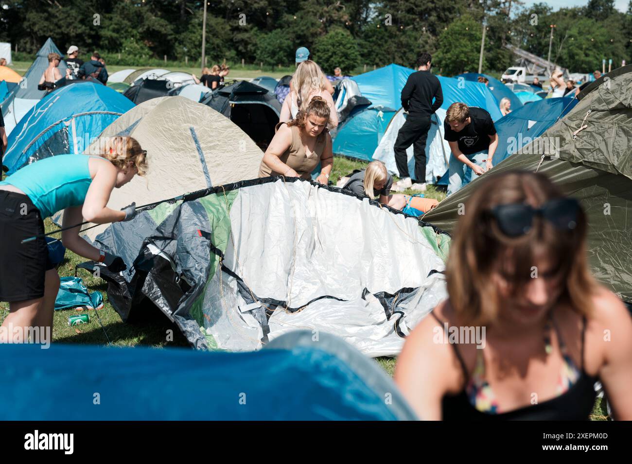roskilde-denmark-29th-june-2024-festivalgoers-set-up-their-tent