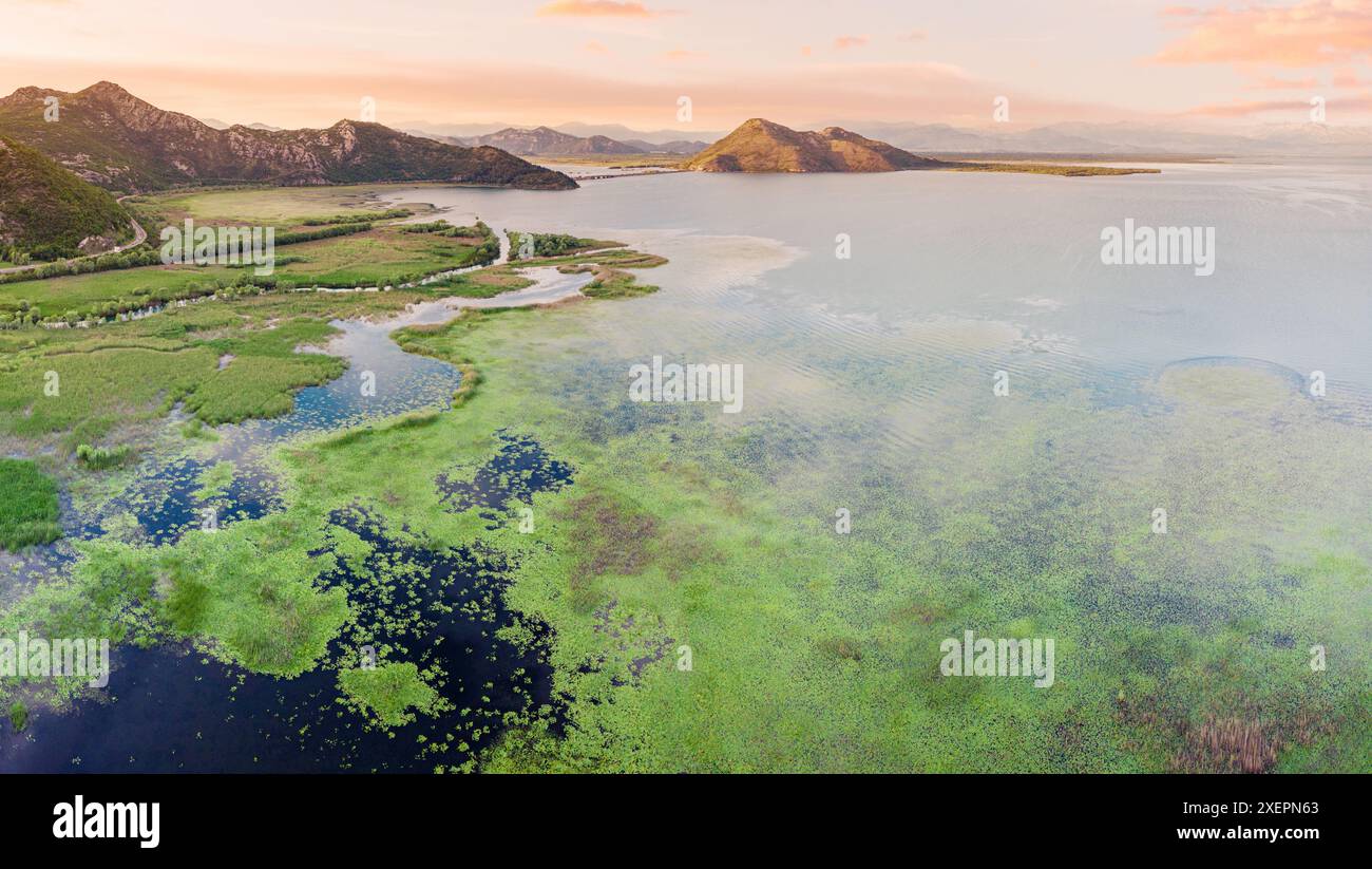 Aerial view lush forests lake hi-res stock photography and images - Alamy