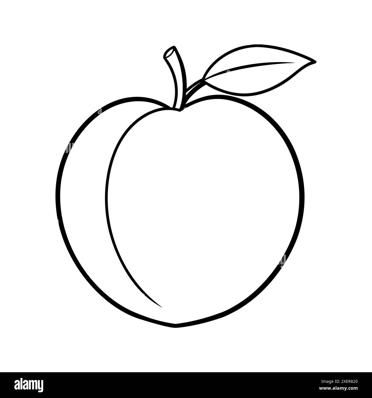 Peach line art illustration Stock Vector Image & Art - Alamy