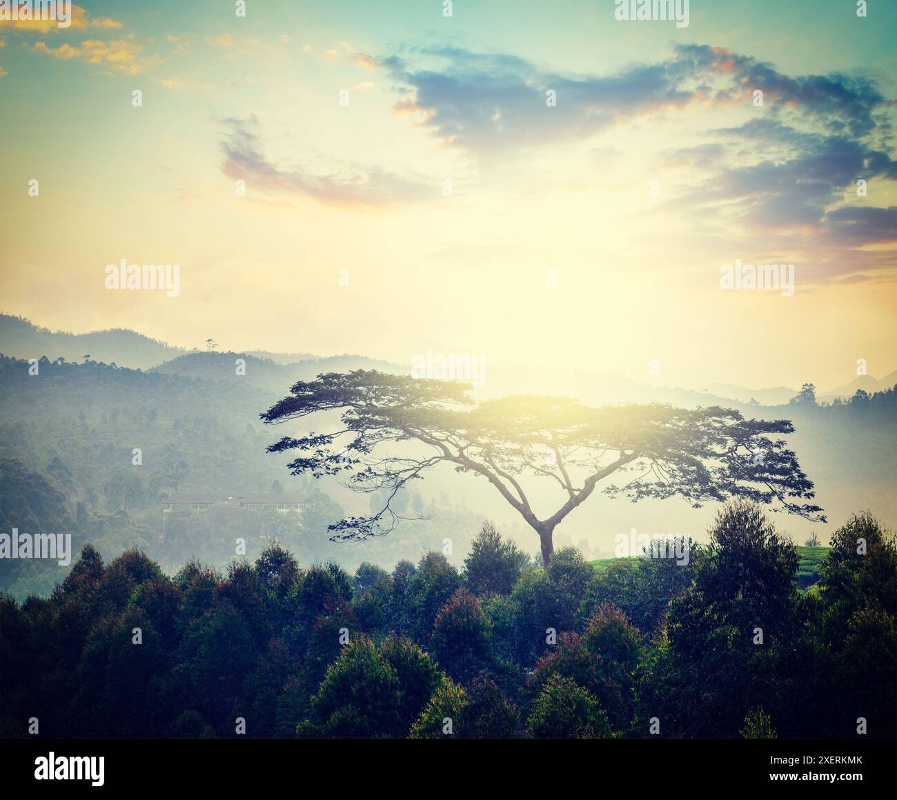 Lonely cross on hill hi-res stock photography and images - Alamy