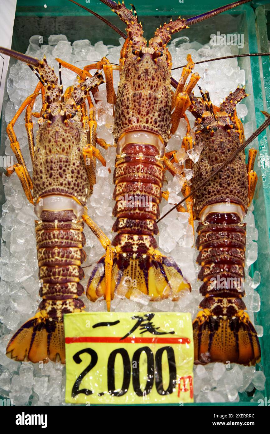 Closeup lobster fish in hi-res stock photography and images - Alamy