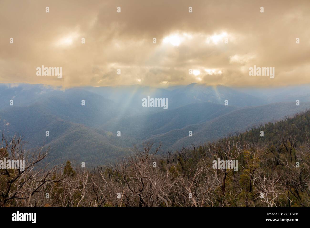 Photograph of the Snowy Mountains region at sunrise in Kosciuszko National Park from the Black Perry Lookout on the Snowy Mountains Highway. Stock Photo