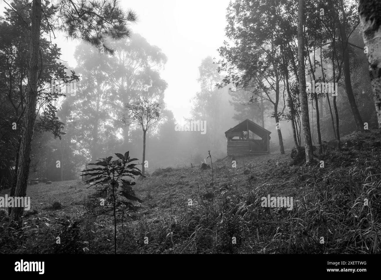 Rainforest cabin Black and White Stock Photos & Images - Alamy