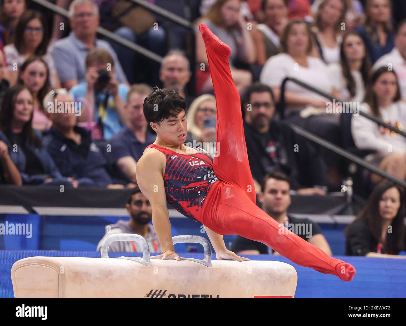 June 29, 2024 Asher Hong on the pommel horse during the 2024