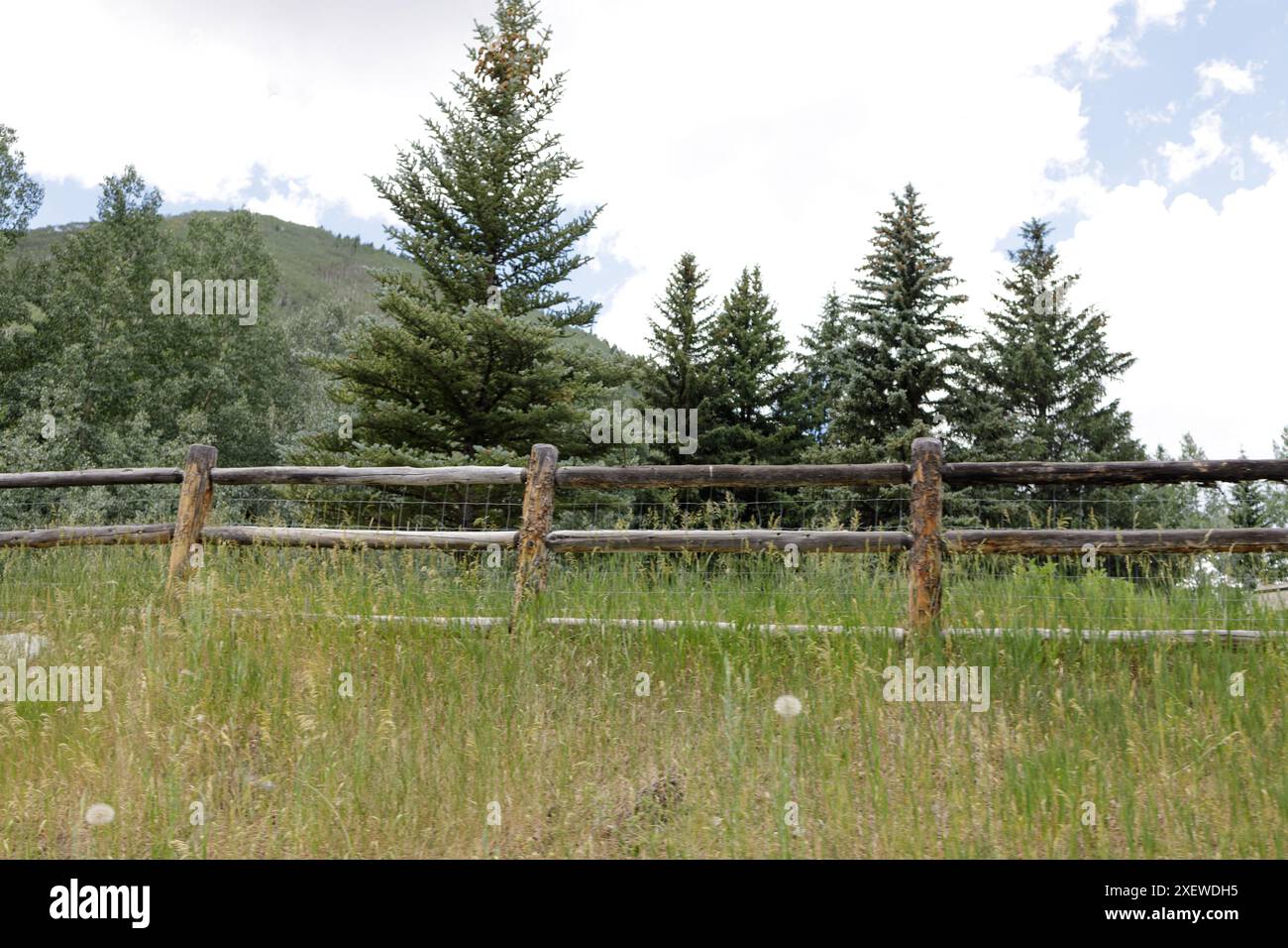 Wildflowers rustic wooden fence hi-res stock photography and images - Alamy
