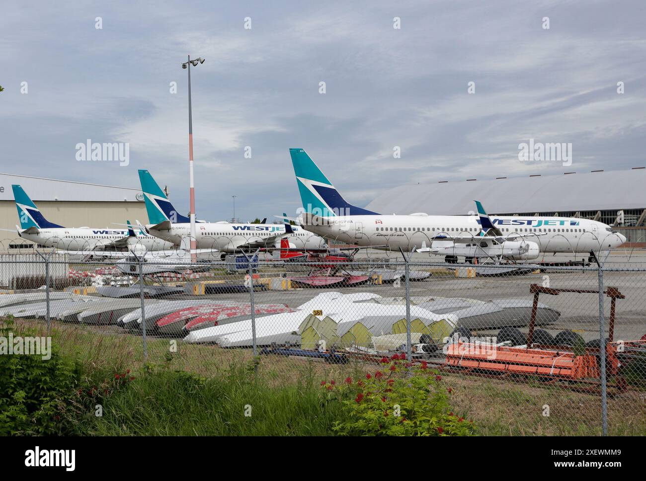 vancouver-canada-29th-june-2024-westjet-boeing-737-800-aircraft-are