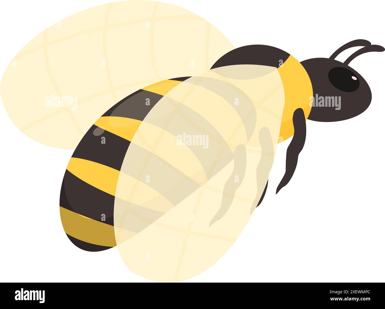 Cartoon honey bee is flying with its wings spread Stock Vector