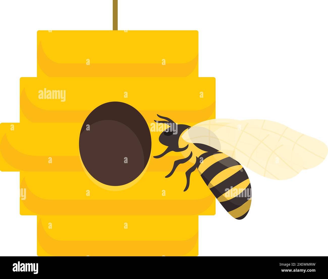 Bee is coming back to the beehive after collecting nectar to make honey