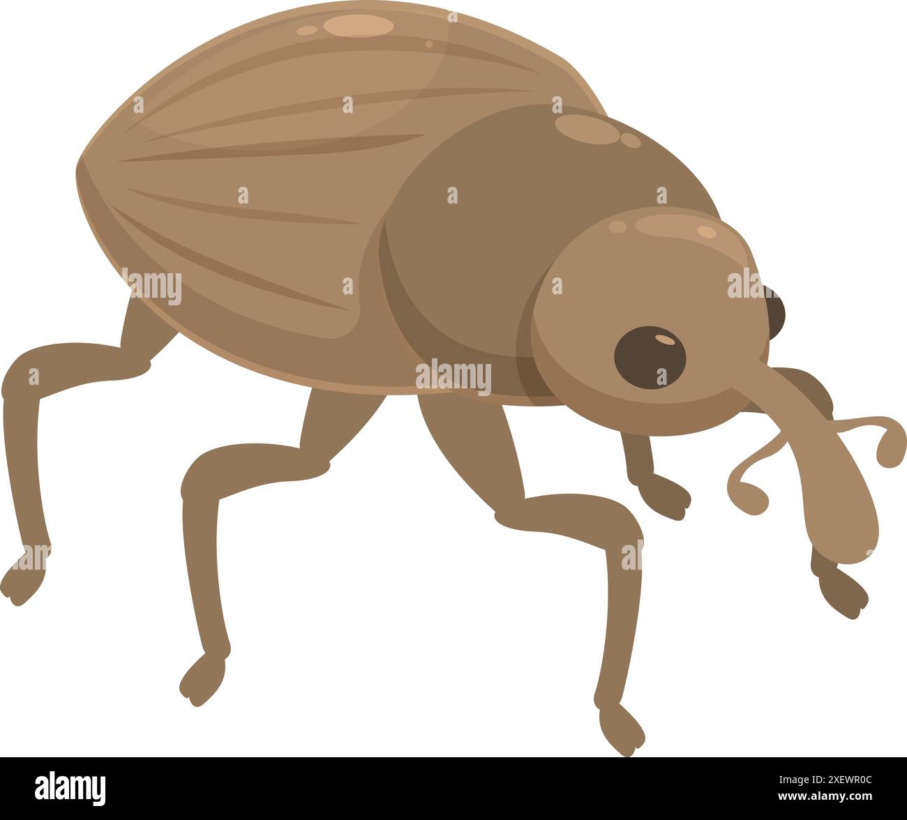 Brown weevil is walking with its long nose and big eyes Stock Vector