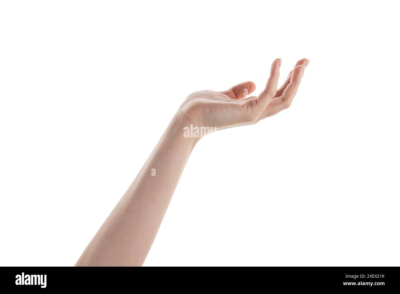 Female hand hold something isolated on white Stock Photo - Alamy