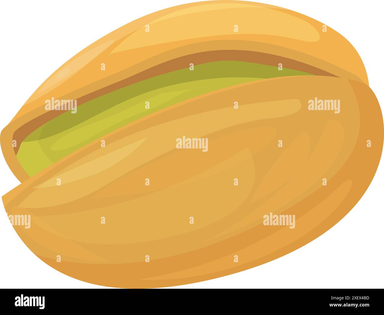Single pistachio nut is shown with the shell open revealing the seed ...