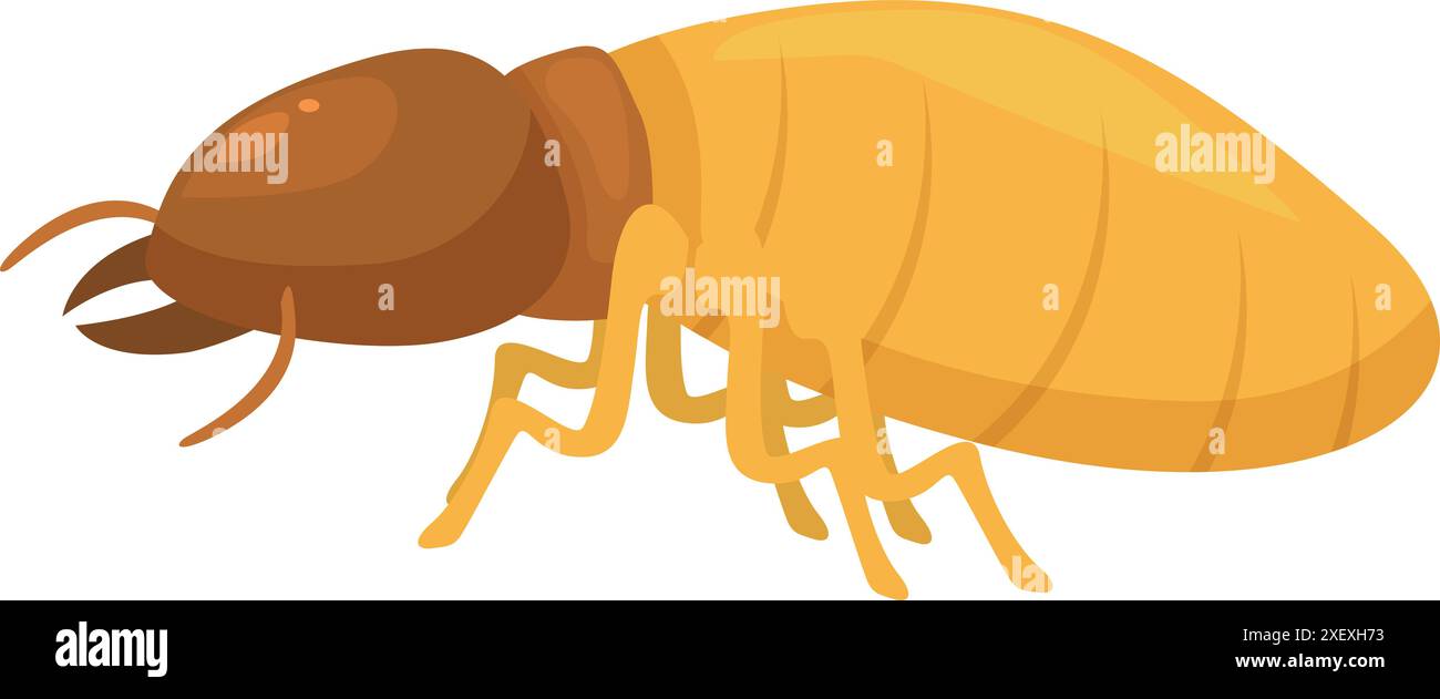 Termite walking side view showing head thorax and abdomen Stock Vector ...
