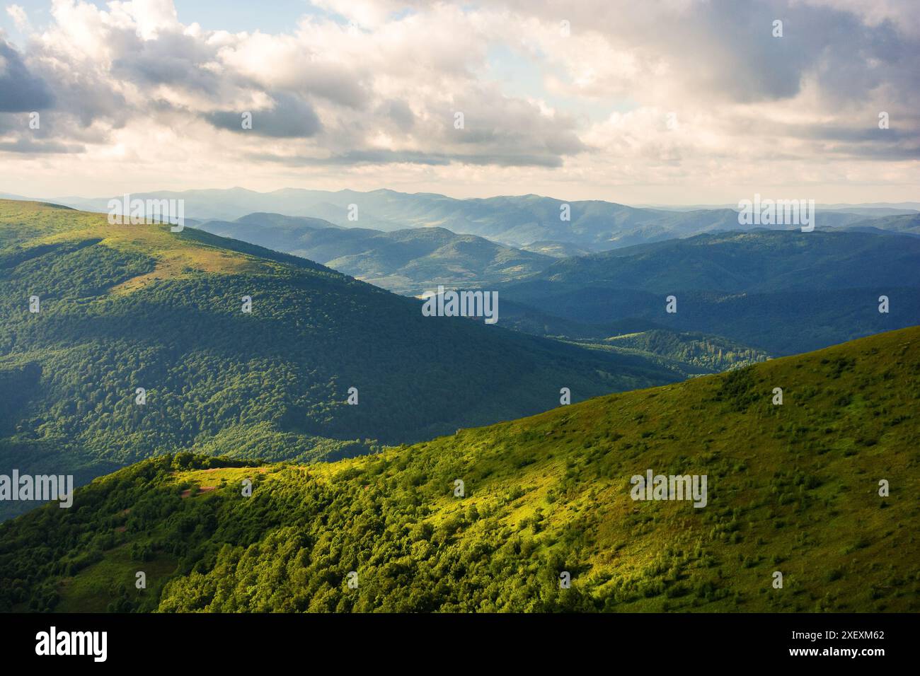 mountainous landscape of ukraine in summer. rolling hills of carpathian mountain range in evening dappled light with cloudy sky. beautiful alpine scen Stock Photo