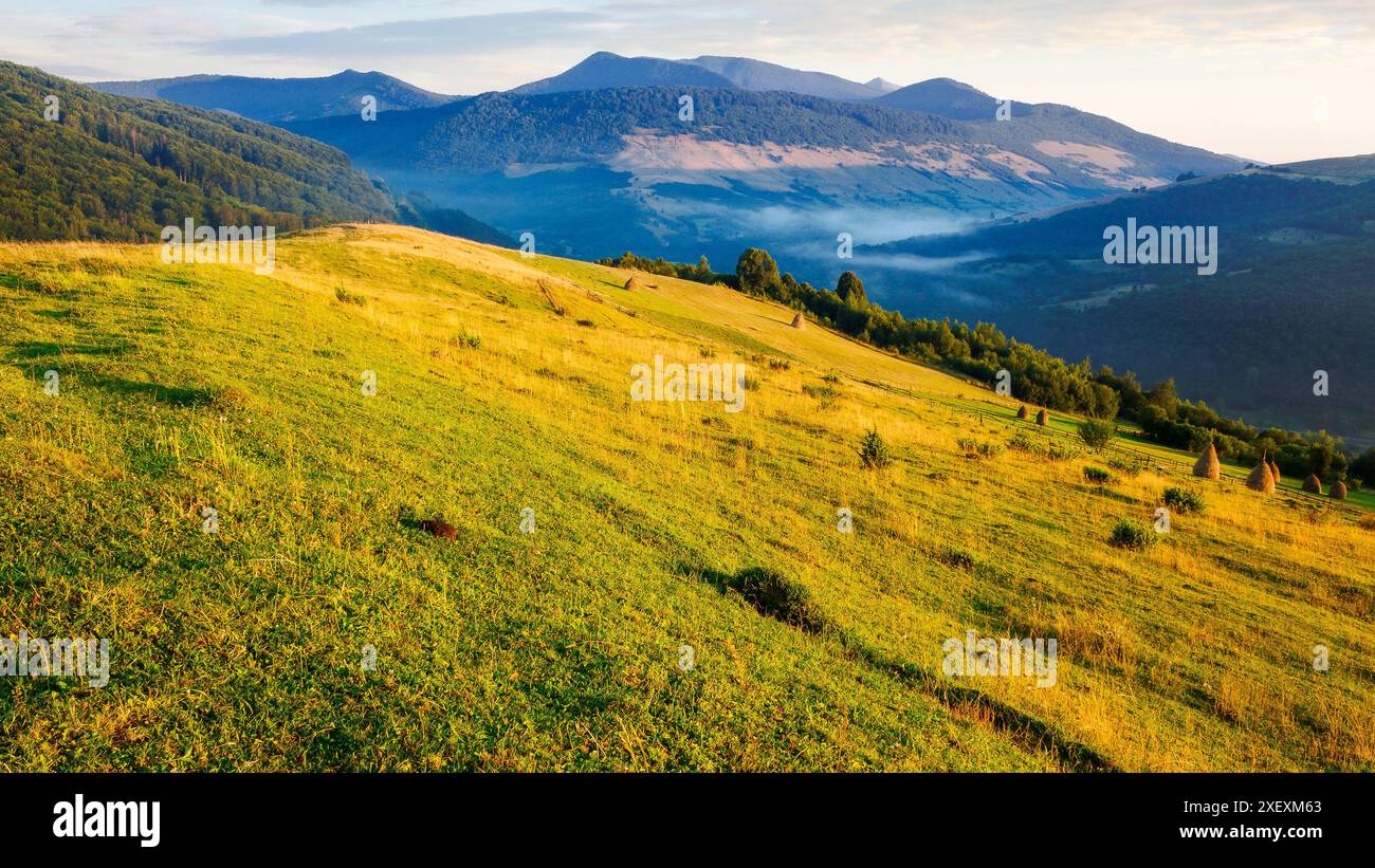 mountainous countryside in summer. carpathian rural landscape of ukraine. haystacks on the grassy farm field. beautiful rolling scenery in morning lig Stock Photo