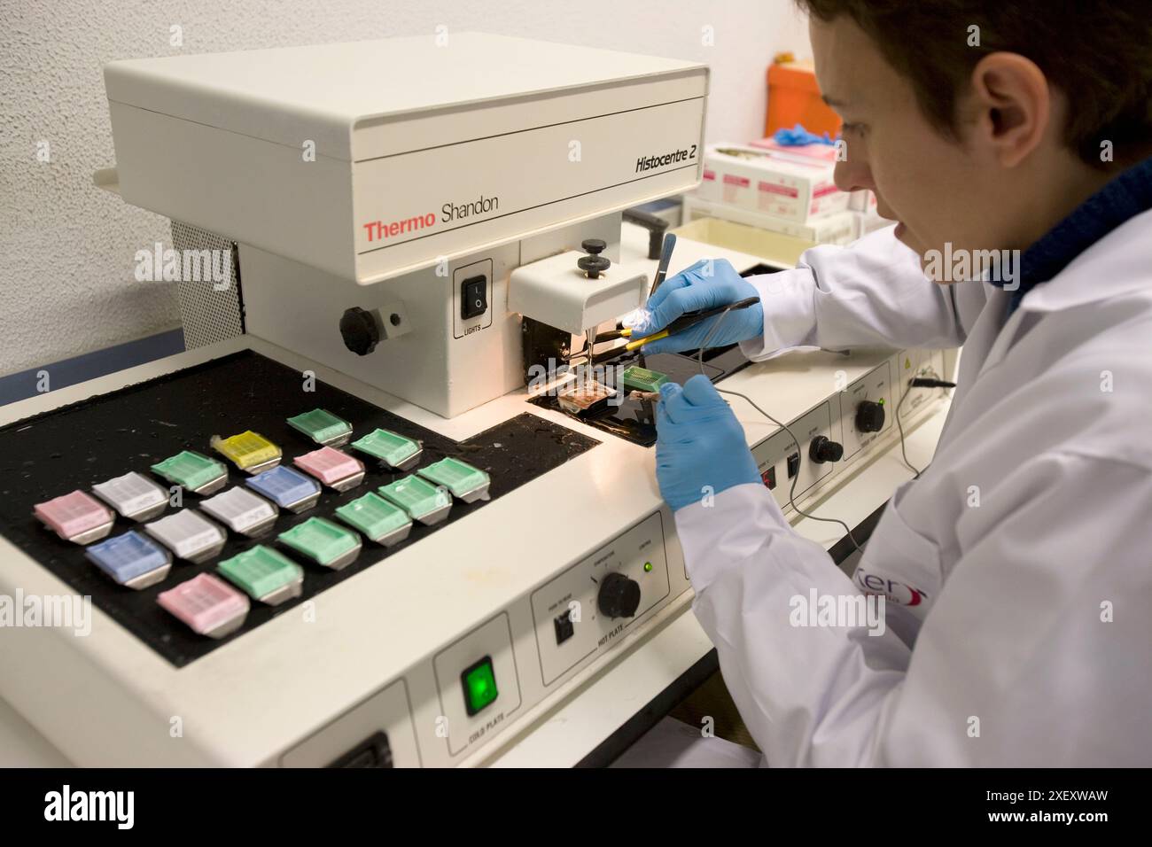 Laboratory of Pathological anatomy, Departamento de Producción y ...