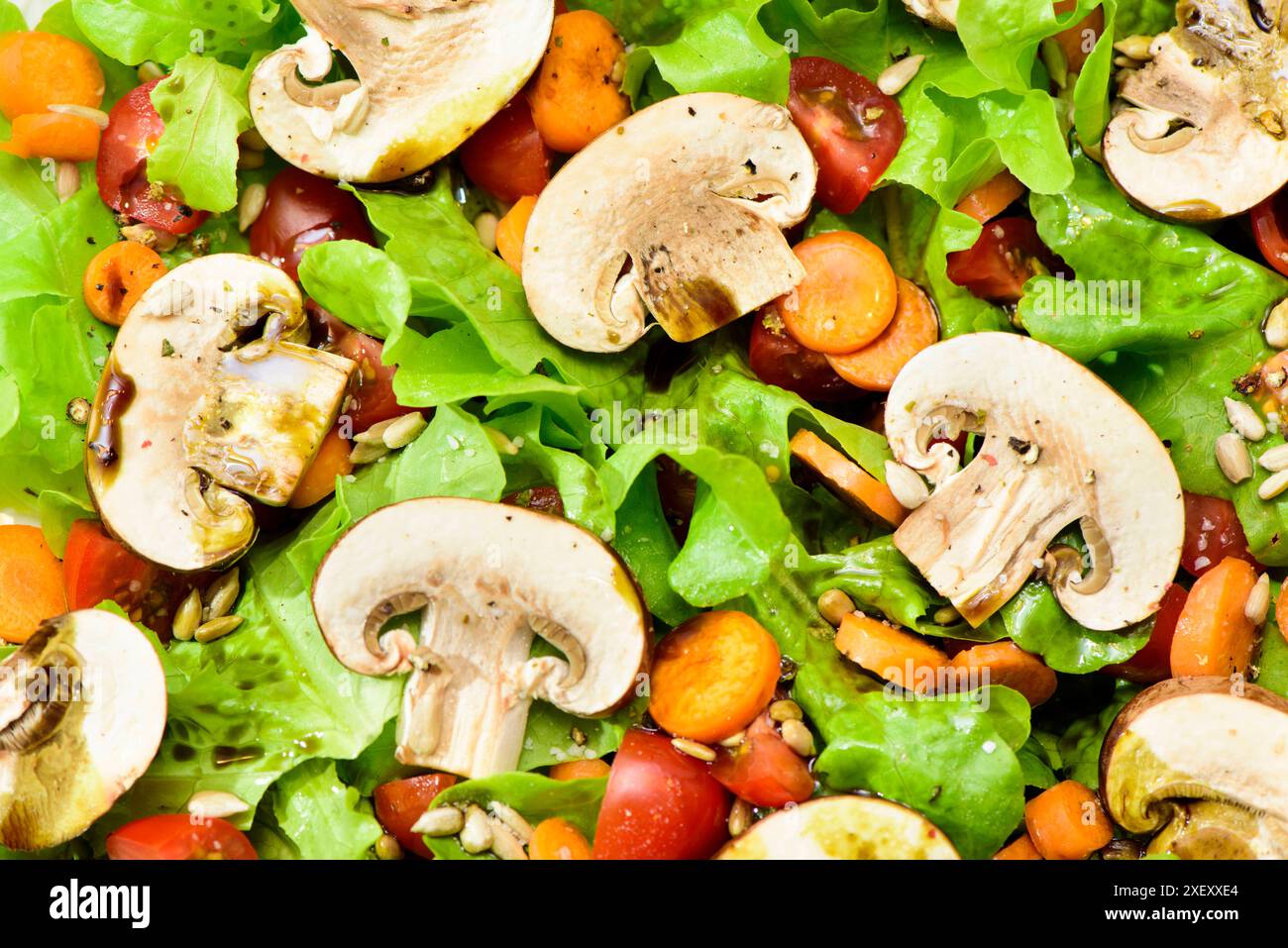 Frischer italienischer Salat Frischer mediterraner italienischer Salat ...