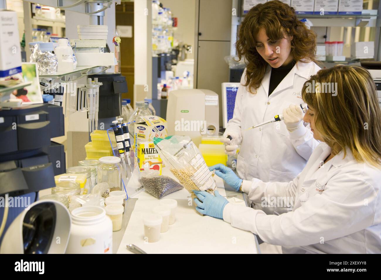DNA Extraction, Forages for GMO analysis, Biotechnology Laboratory, Neiker Tecnalia Research Institute and Agricultural Development, Livestock, Forest Stock Photo