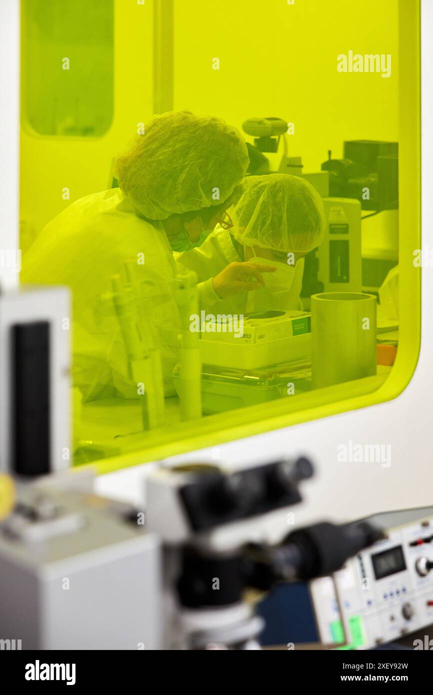 Clean room, Chemical laboratory Stock Photo - Alamy