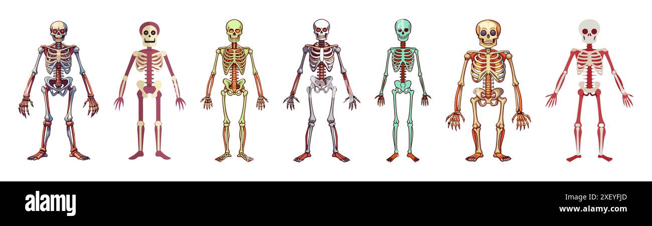 Set of Cartoon human skeletons isolated on a white background. Concept ...