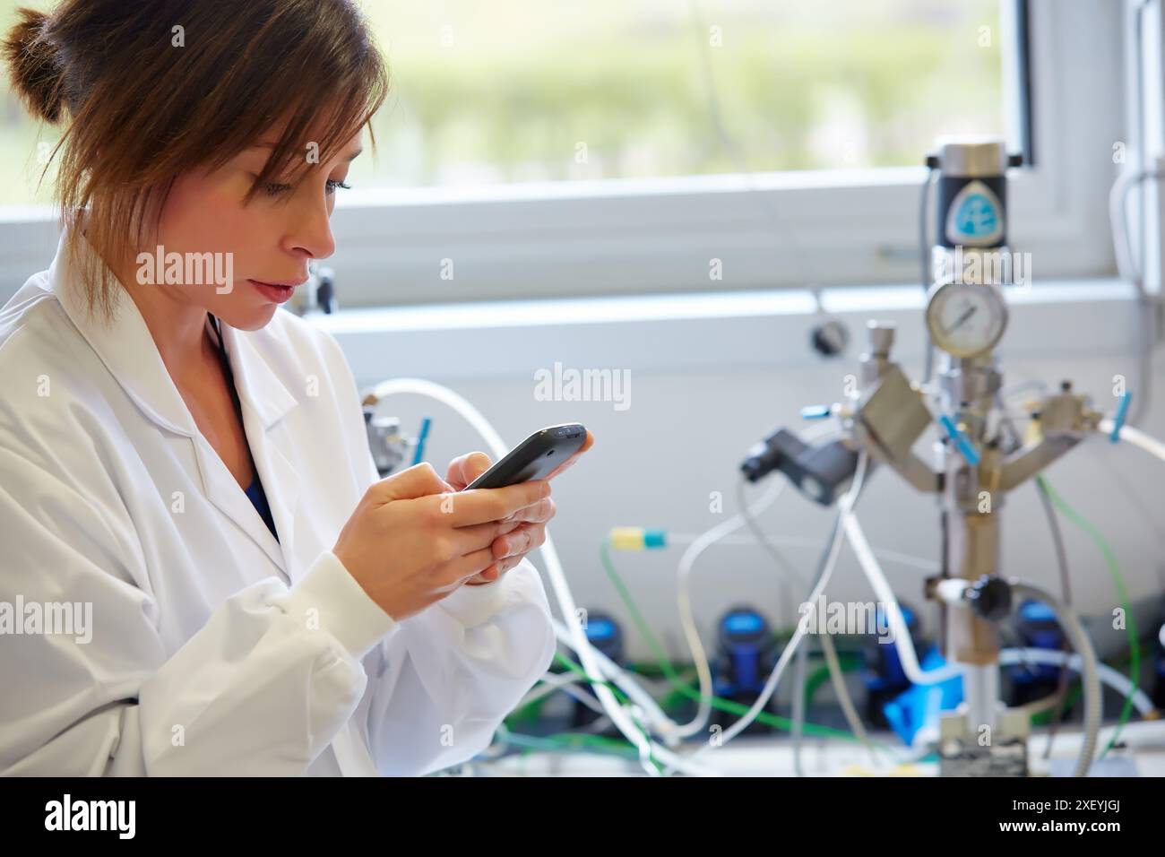 Pressure reactor. ATEX Laboratory. Energy and Environment Division ...