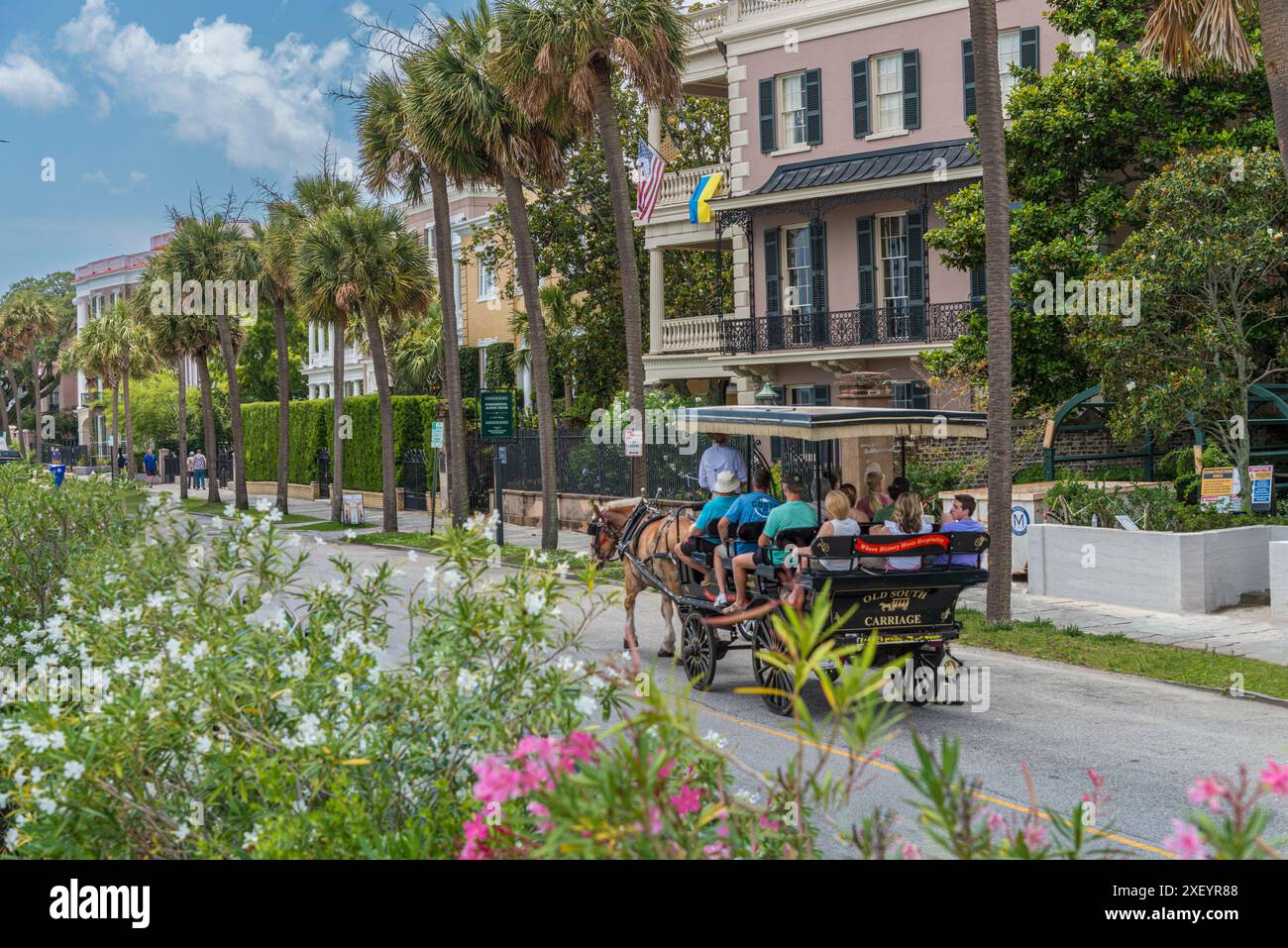 Horse and buggy horse drawn carriage tour, Charleston, South Carolina USA Stock Photo Alamy
