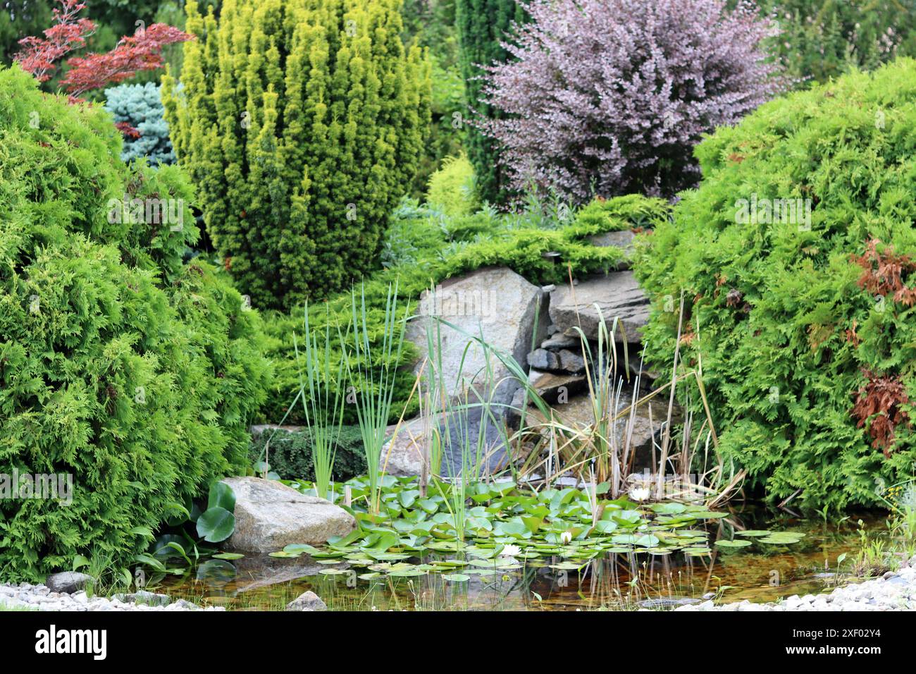 Landscape design of a beautiful garden with trees, bushes and pond ...