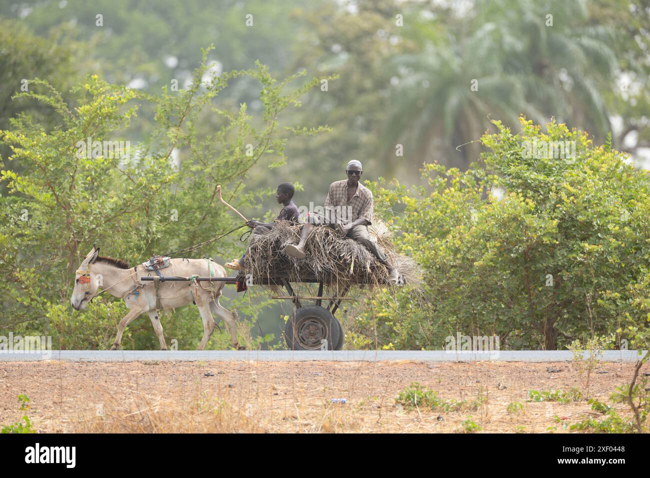 Rural scene in The Gambia Stock Photo