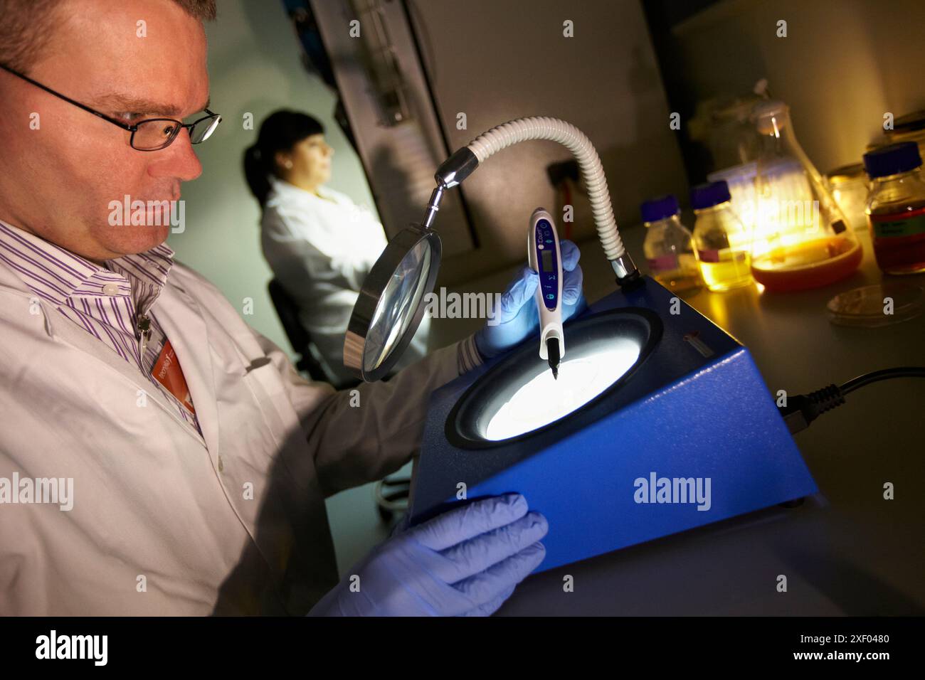 Laboratory counter with culture hi-res stock photography and images - Alamy
