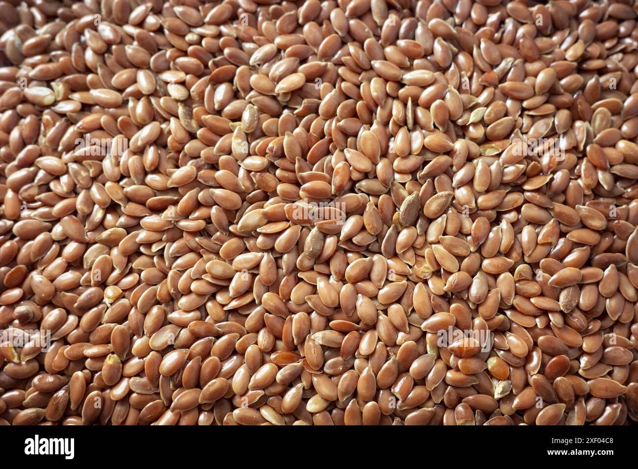 Close up photo of seeds hi-res stock photography and images - Alamy