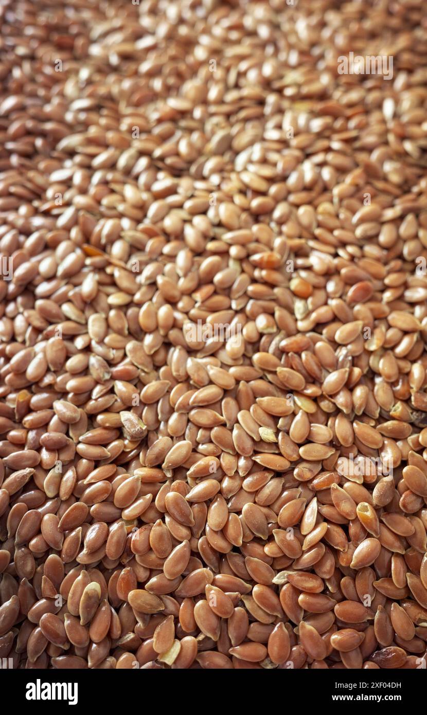 Close up photo of seeds hi-res stock photography and images - Alamy