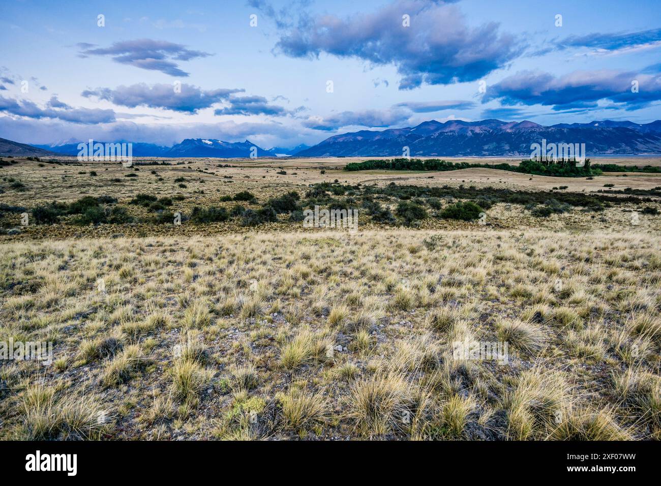pampas near Lake Roca, El Calafate, Los Glaciares National Park ...