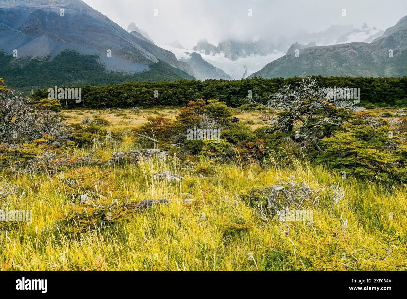 Path of the mother and daughter lagoons el chalten los glaciares