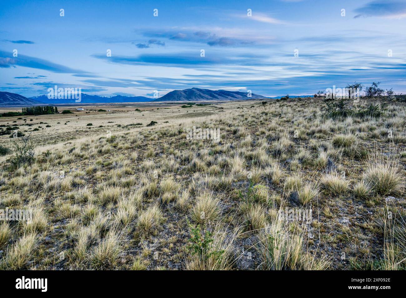 pampas near Lake Roca, El Calafate, Los Glaciares National Park ...