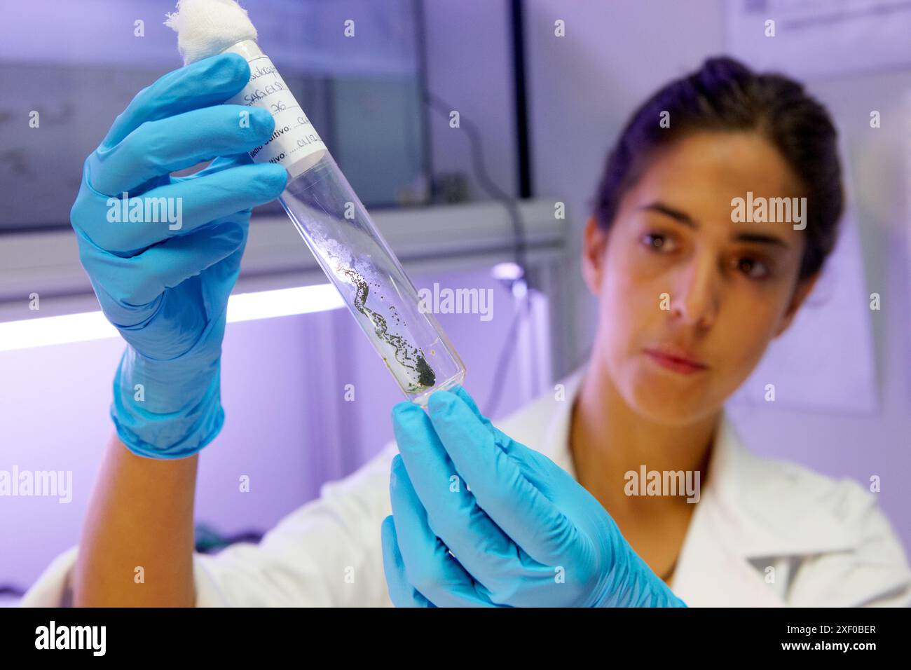 Dev test hi-res stock photography and images - Alamy
