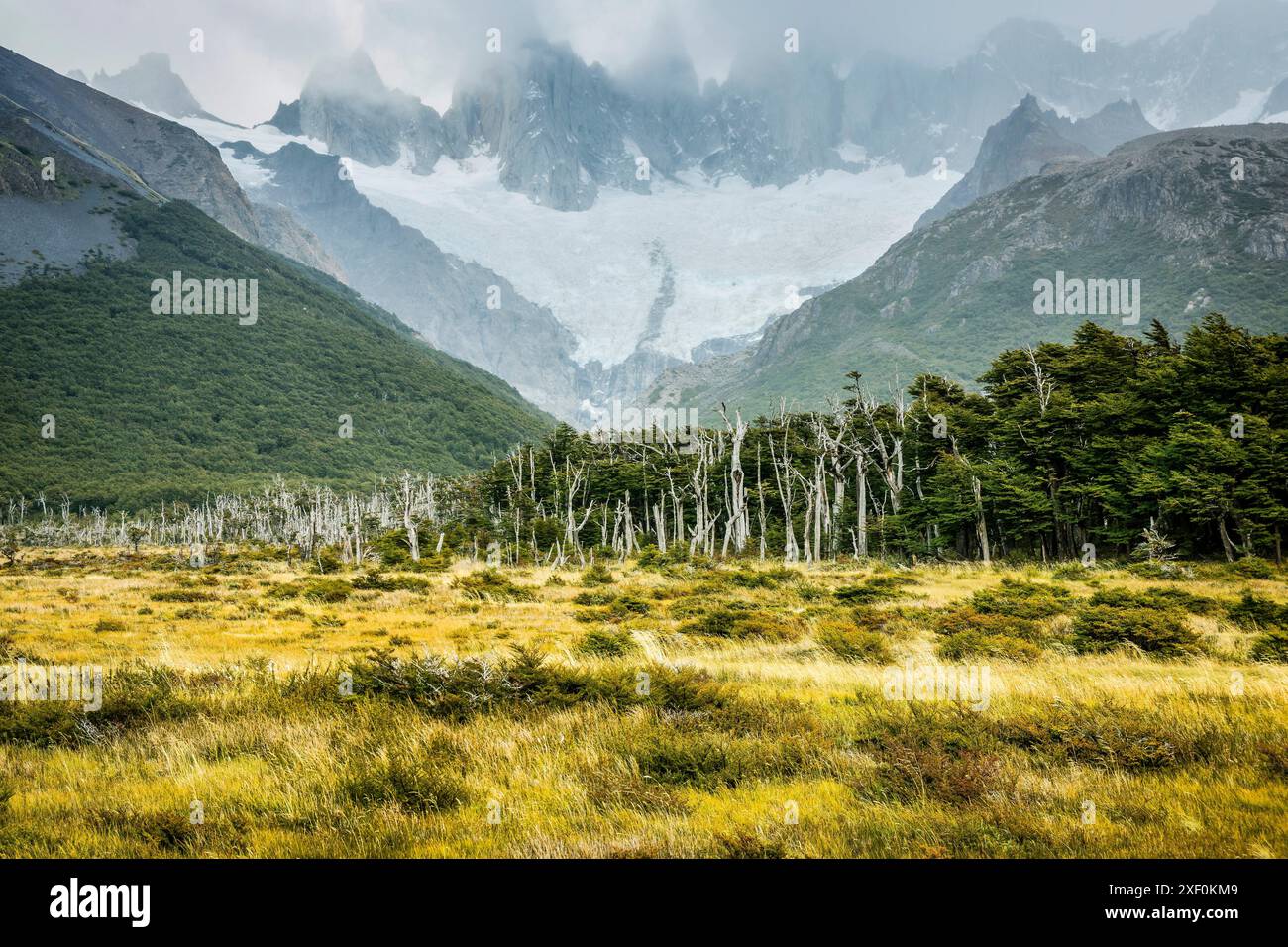 Path of the mother and daughter lagoons el chalten los glaciares