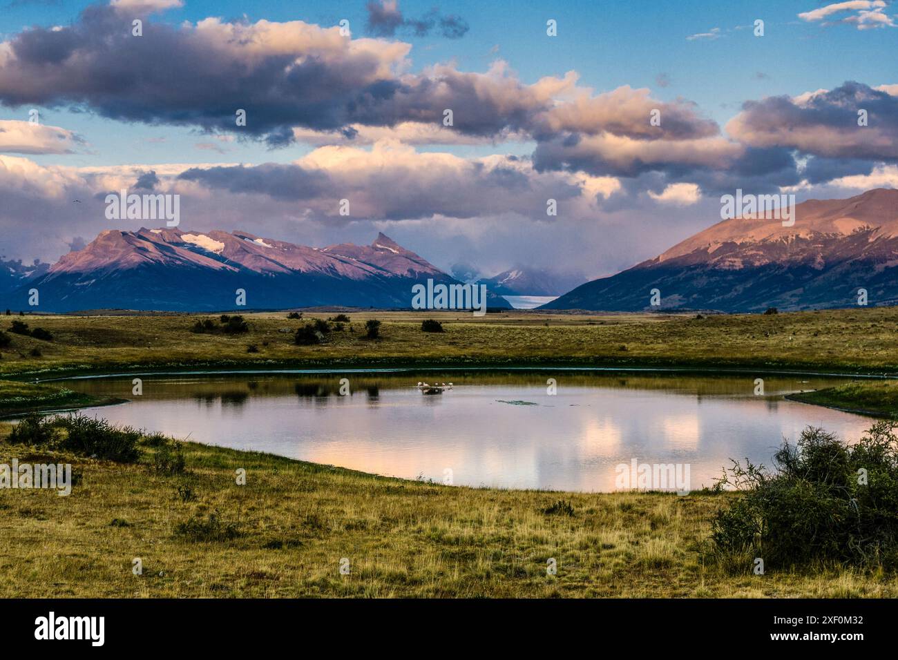 pampas near Lake Roca, El Calafate, Los Glaciares National Park ...